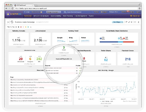 seo-dashboard-essential-data