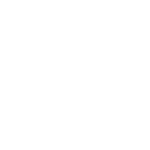 Enterprise-Grade Security