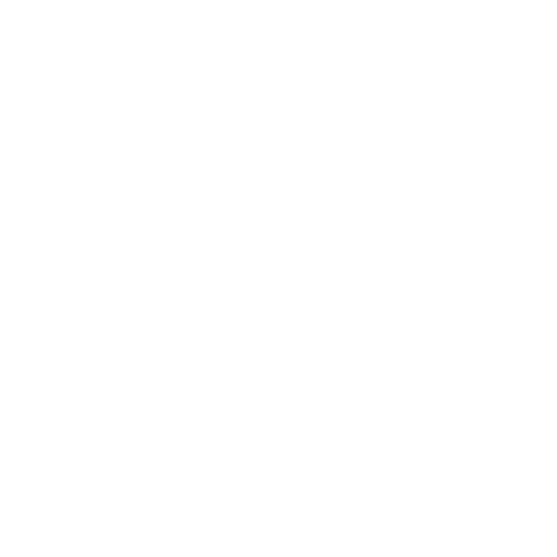 Lightning-Fast Speed