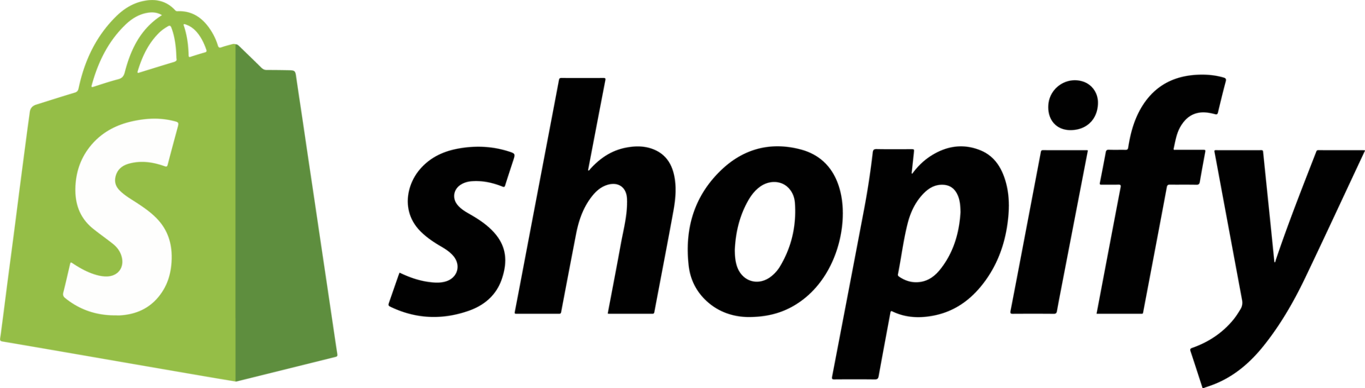 Ecommerce Web Design