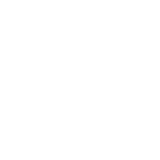 Custom Web-Applications
