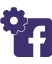 Facebook Page Management